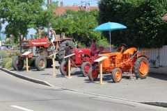 Encore d'autres tracteurs et les cigognes qui montent la garde